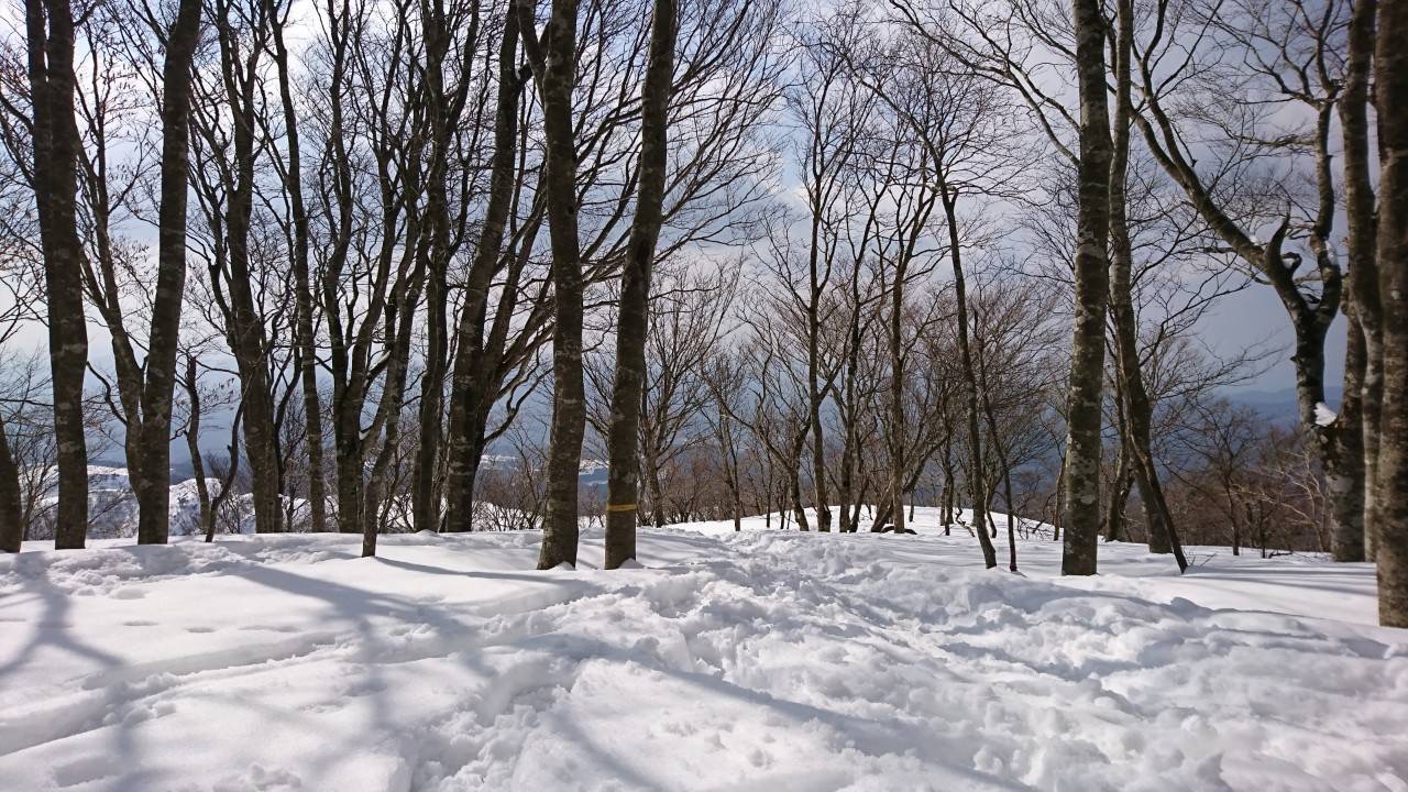2月公開ハイキング：【雪山】比良 堂満岳