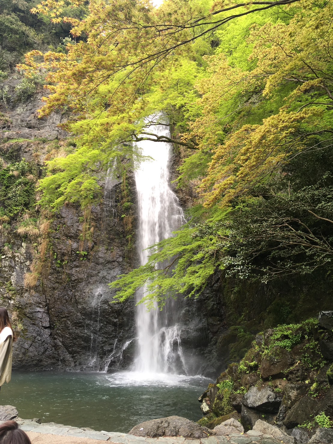 【2025年公開ハイキング】箕面大滝～勝尾寺（清流と新緑に癒されよう）