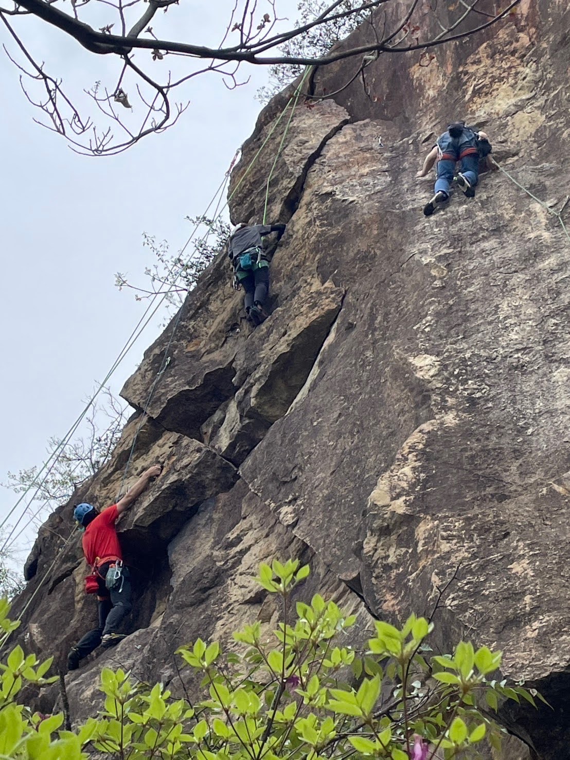 駒形岩：C班4月例会